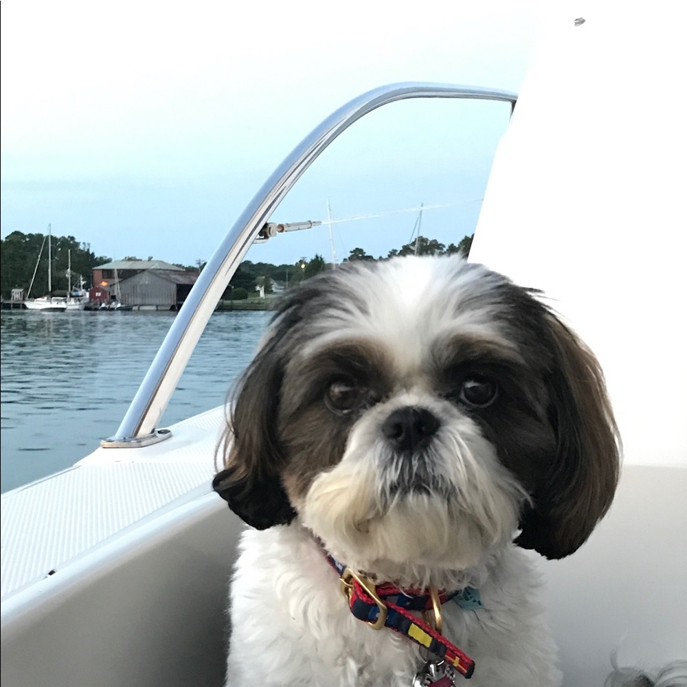 Meet your Posher, Tipper